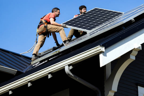 Best Roof Moss and Algae Removal  in Rpinteria, CA